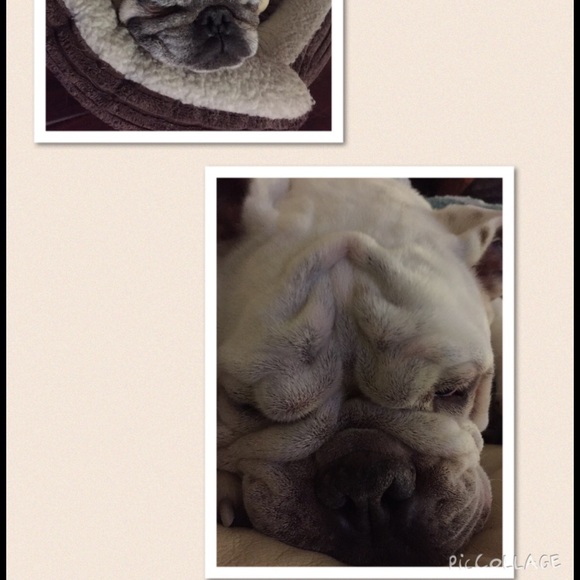 Profile Picture of Ray Maligaya (@rmaligaya) on Poshmark