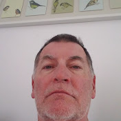 Profile Picture of John Provost (@prpvost2) on Youtube