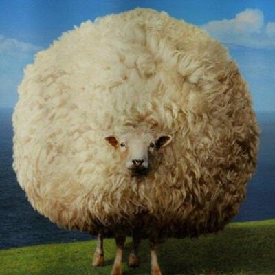 Profile Picture of Diane Daniels (@WoolNWares) on Twitter