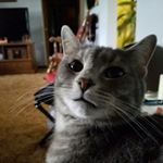 Sandra Bragg - Instagram Profile Picture of Sandra Bragg (@sandra.bragg) on Instagram