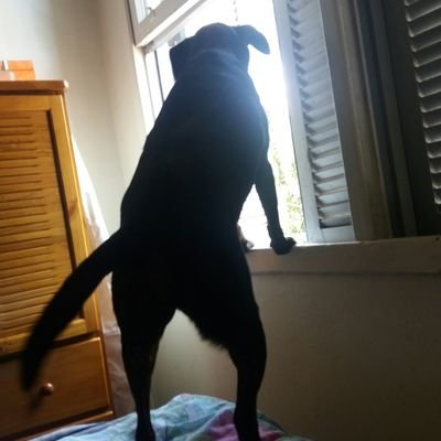 Profile Picture of Néda Beatrïz Simon (@NdaBeatrzSimon2) on Twitter