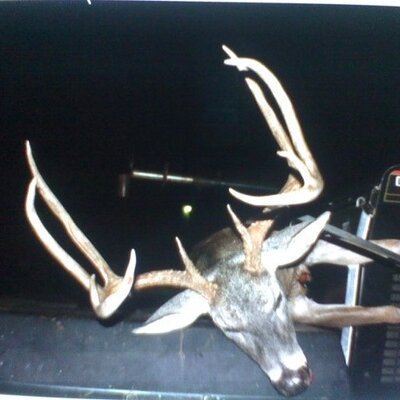 Profile Picture of Randall Duke (@Randallduke) on Twitter