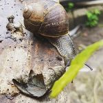 HetZalAllemaalWel (Ramona) - Instagram Profile Picture of HetZalAllemaalWel (Ramona) (@het_zal_allemaal_wel) on Instagram