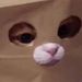 Profile Picture of Mc Ruggor (@josephstrumbly) on Pinterest