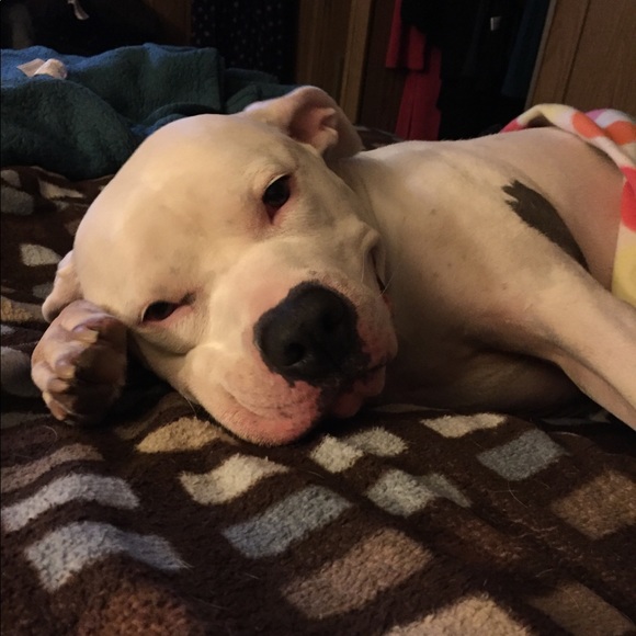 Profile Picture of Joanne Doerner (@1031jojo) on Poshmark