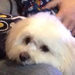 Profile Picture of David Atkinson (@david.m.atkinson) on Instagram