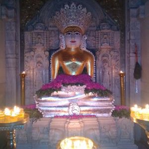 Profile Picture of Deepak Sheth (@DeepakS01610522) on Twitter