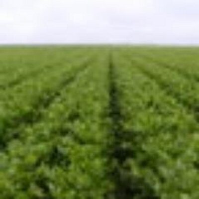 Profile Picture of John Rumley (@RumleyBEK) on Twitter