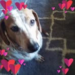 Profile Picture of Carol Hagemann (@carol.hagemann.71) on Facebook