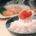 Profile Picture of 【福岡グルメ】あやちゃんランチ・天神・西新・姪浜・小倉 (@fukuoka_gurume.cafe) on Instagram