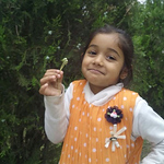 Profile Picture of Vickey Kumar (@ritika&parag) on Flickr