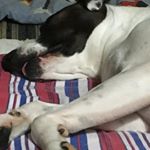 Profile Picture of Nicolas (@nicolas_holguin.r) on Instagram