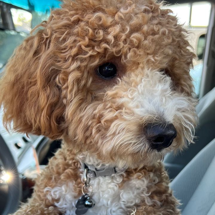 Profile Picture of RayNycRay (@ray_nyc_ray) on Tiktok