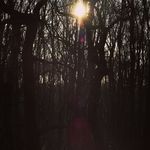 Profile Picture of danni colbert (@clickleeds) on Instagram