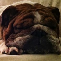 Profile Picture of Caleb Johnston (@caleb-johnston-32) on Quora