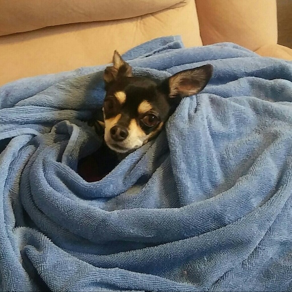 Profile Picture of Denise Mohr (@2cutiedenise) on Poshmark