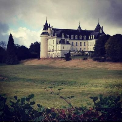 Profile Picture of Sonia Marx DLG (@DlgMarx) on Twitter