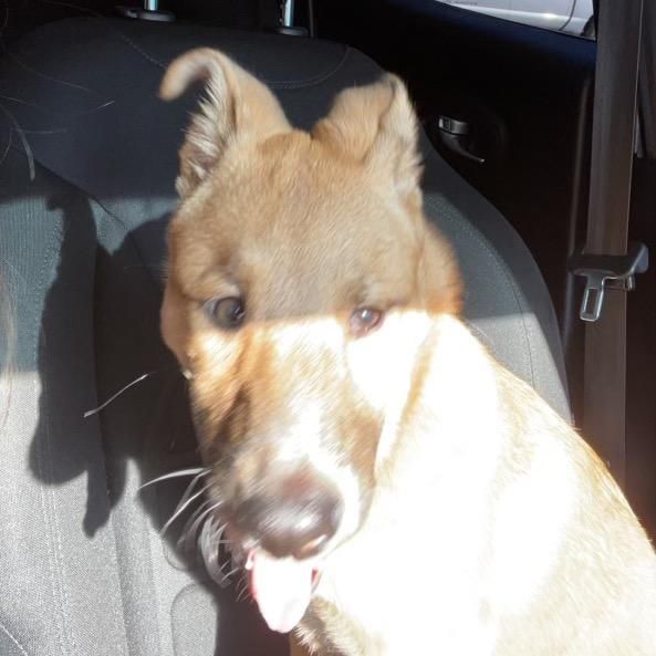 bonniehoskinss - Tiktok Profile Picture of bonniehoskinss (@bonniehoskinss) on Tiktok