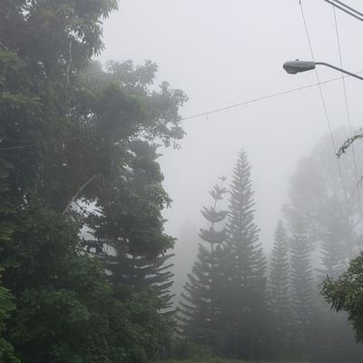 Profile Picture of Jorge Pinales (@JorgePinales14) on Twitter