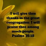 Profile Picture of rose murdock (@naomidesgouttes1) on Instagram