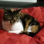 Profile Picture of Erich Steinbrenner (@erich.steinbrenner) on Facebook