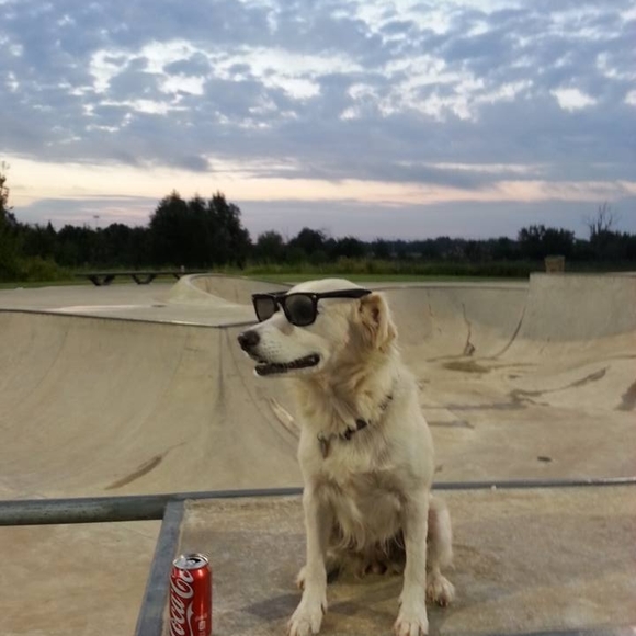 Profile Picture of Charles Shoemaker (@charlesjr696) on Poshmark