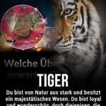 Profile Picture of Michael Reissig (@reissig58) on Instagram