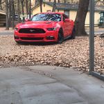 Profile Picture of Steven padgett (@lilredrocket5.0) on Instagram