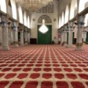 Profile Picture of Sherif Abdel Halim (@shyhalim) on Youtube