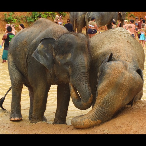 Gres Dan - Poshmark Profile Picture of Gres Dan (@selda918) on Poshmark