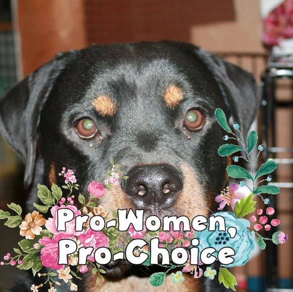 Profile Picture of Paula Northway (@paula_northway) on Poshmark