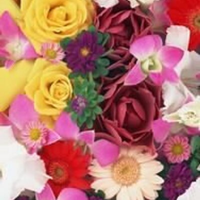 Profile Picture of VIBHUTI PANDEY (@VIBHUTIPANDEY2) on Twitter