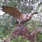 Profile Picture of Robert Viveros (@niteowl666) on Instagram