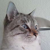 Profile Picture of Toby Lopez (@tobylopez) on Youtube