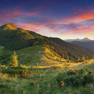 Profile Picture of Carson Larson (@carson.larson.12) on Facebook