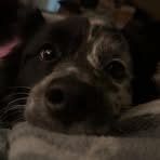 Profile Picture of Madison Antolec (@madison.antolec) on Facebook