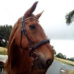 Profile Picture of lisa.hagelskamp (@lisa.hagelskamp2) on Instagram