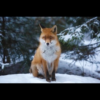 Profile Picture of Karolina Brändlein (@1987Karolina) on Twitter