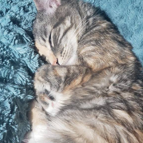 Profile Picture of Georĝe Cøøpér (@gcoop86) on Poshmark