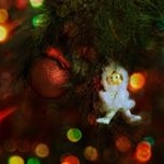 Profile Picture of Wetzell Berends (@joflfqyftm) on Instagram