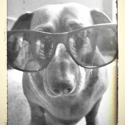 Profile Picture of Jaclyn Snider (@jaclyn_snider) on Twitter