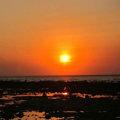Profile Picture of Novilia Eka Chandra (@noviliaeche) on Twitter
