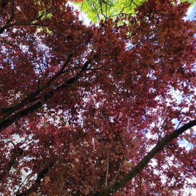 Profile Picture of Marchi Jennifer (@MarchiJennifer1) on Twitter