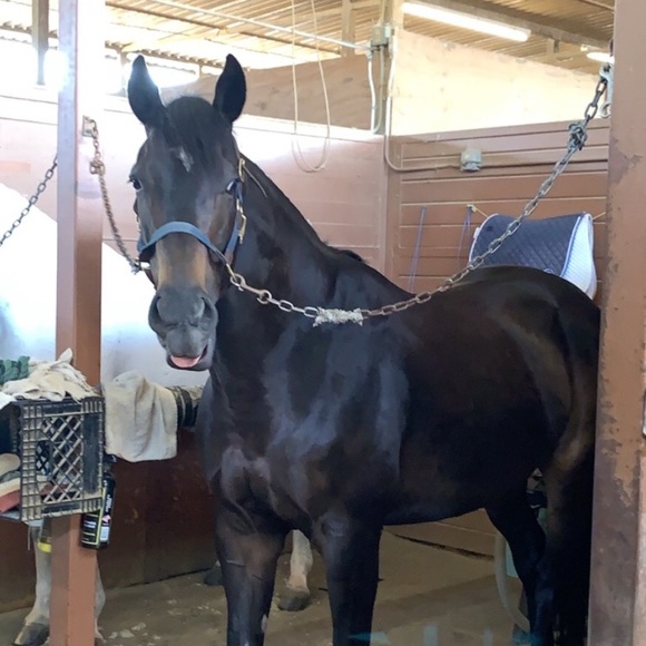 Profile Picture of Marcy Germony (@luludu) on Poshmark