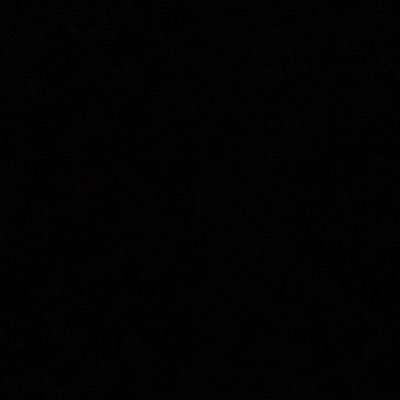 Daniela Brito - Twitter Profile Picture of Daniela Brito (@Danielabrito545) on Twitter