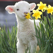 Profile Picture of Serena Lluvia (@PrincessExcellent) on Youtube