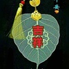 Profile Picture of Carmen Tong (@@31991524777) on Tiktok