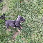 Profile Picture of Jerrod Bailey (@Jerrod-Bailey) on Facebook