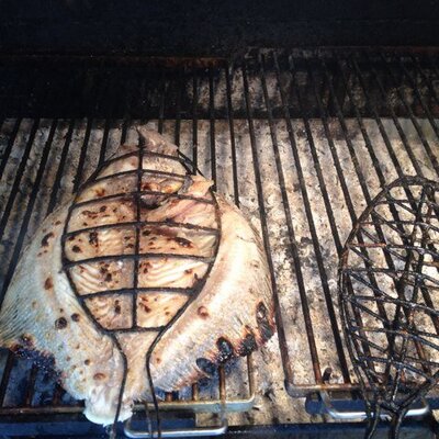 Profile Picture of Dan Hunter (@@BlueZones) on Twitter