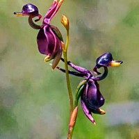 Profile Picture of Tim Cobb (@tim-cobb-1) on Quora